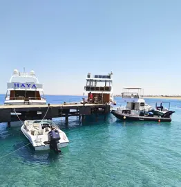 Boats 173